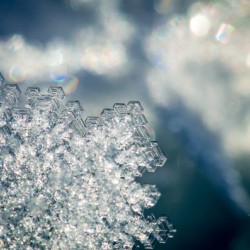 Macro Snowflake Hi Res   A3